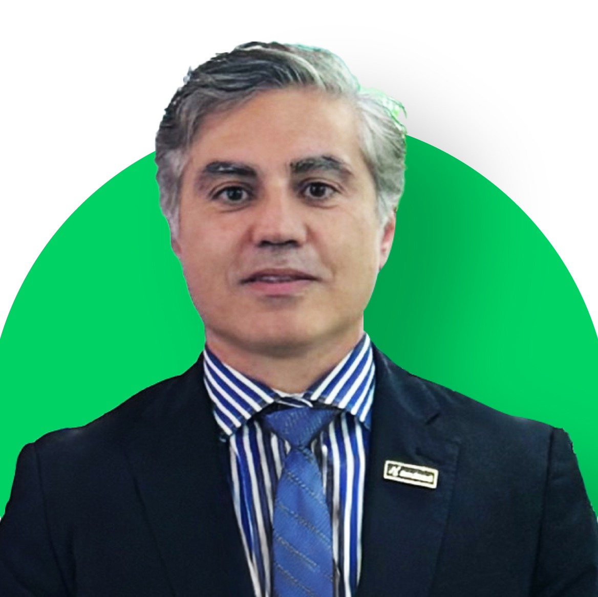Nicola Guibellina