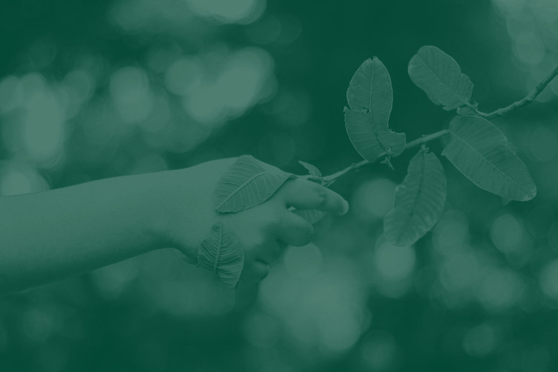 Green-tinted close-up of a child's hand reaching for a leafy branch, illustrating Neuland's approach to sustainability