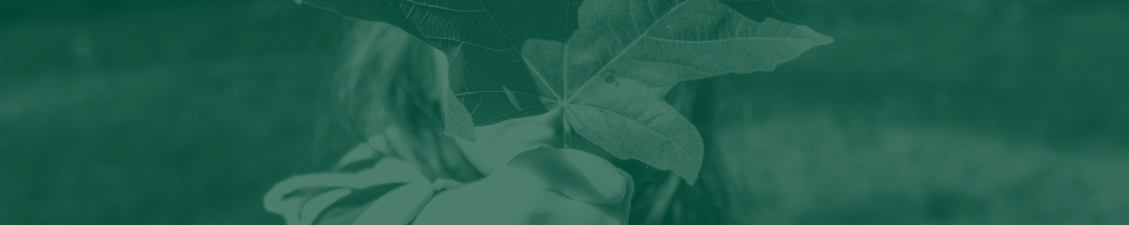 Green-tinted banner of hands holding up a large leaf, header for Neuland's sustainability reports archive