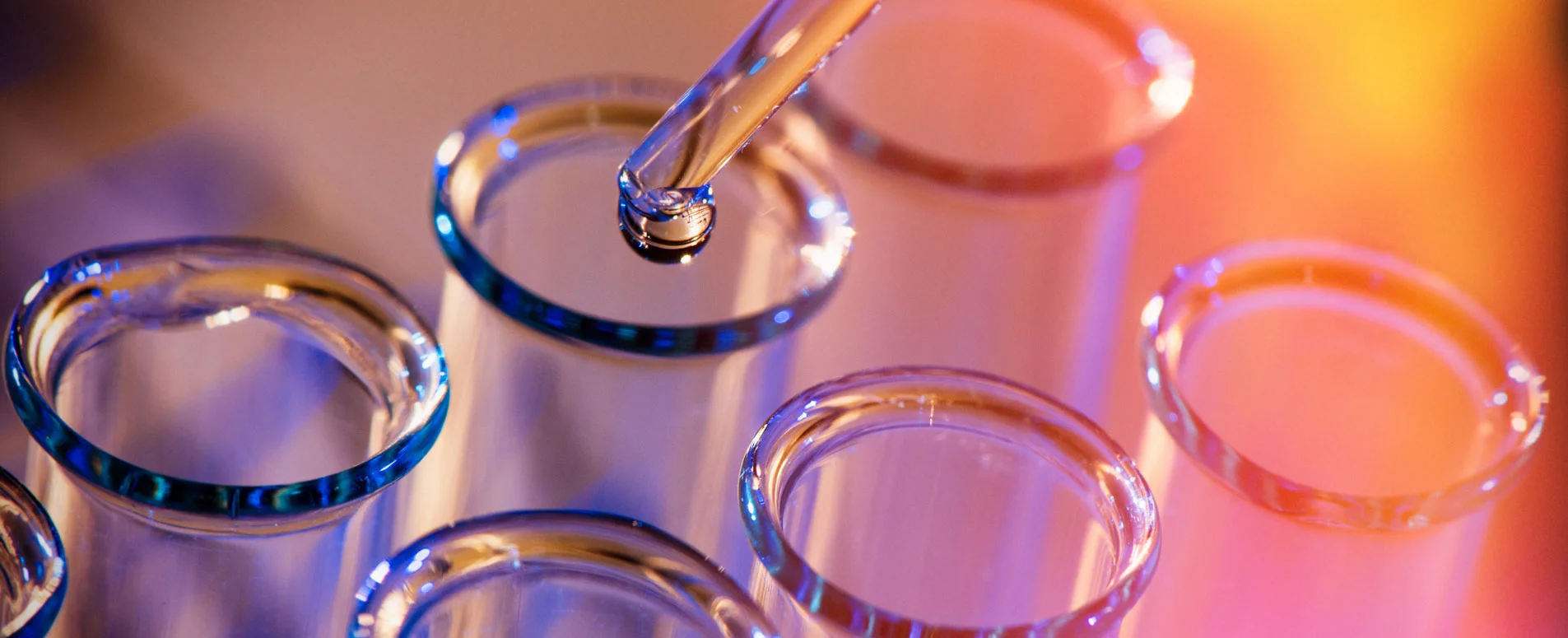 Neuland Laboratories image from its website