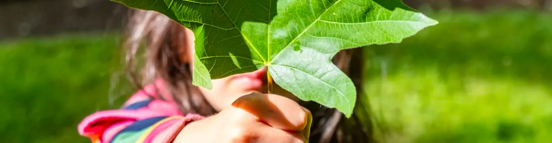 sustainability-banner