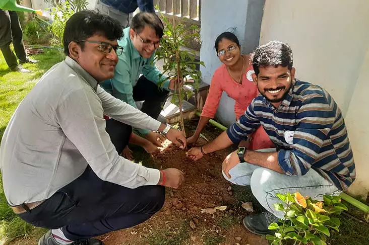 Employees planting a tree together